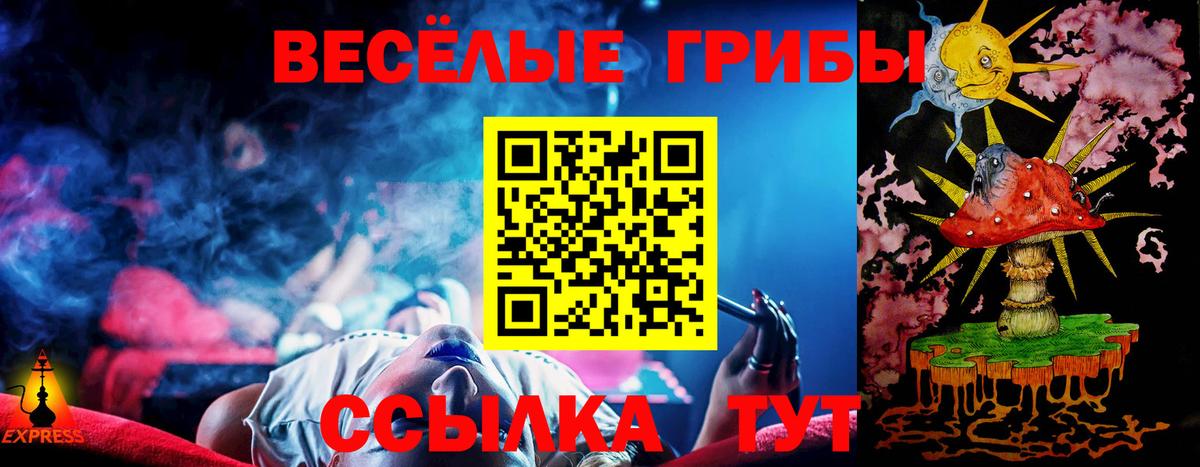 Галлюциногенные грибы прущие грибы Электрогорск