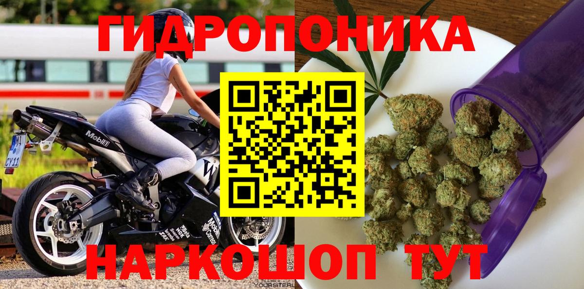 Бошки Шишки планчик Электрогорск